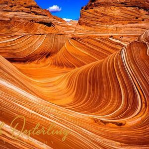 Meet your Posher, Garth